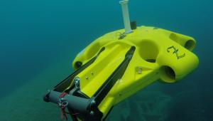 הרצאת המכון ללימודים מתקדמים: רובוטיקה תת-ימית – חדשנות והנדסה לחקר המים