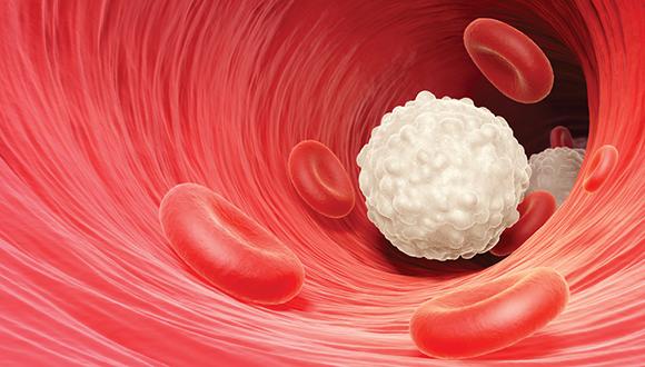 הכנס הבינלאומי השני לממאירויות המטו-אונקולוגיות ע"ש דותן הכנס הבינלאומי השני לממאירויות המטו-אונקולוגיות ע"ש דותן