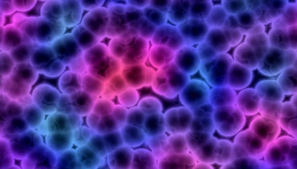 הכנס השני של מרכז בלווטניק לפיתוח תרופות הכנס השני של מרכז בלווטניק לפיתוח תרופות